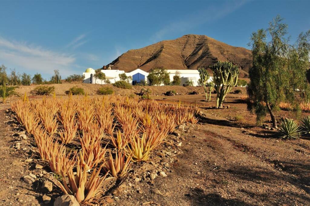 טרחלחו Romantica Fuego - Eco Retreat Finca Artis Tirma מראה חיצוני תמונה